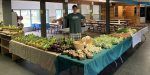 Vegetable Market at Loch Lomond featuring produce from Sun Bowl Farms
